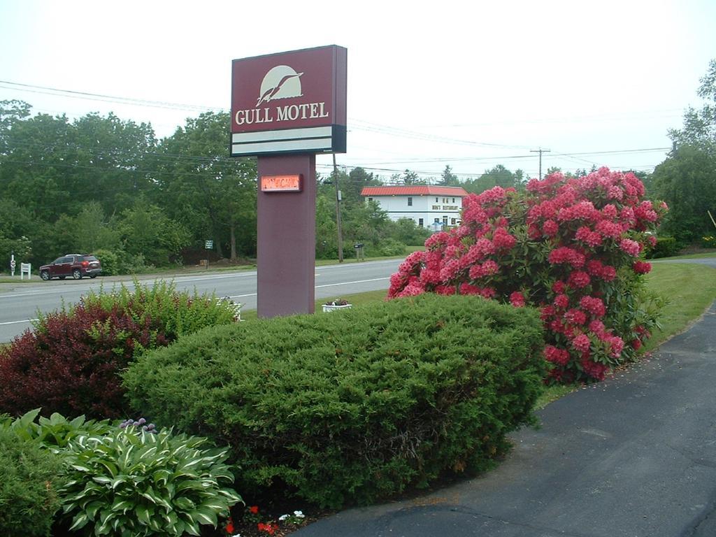 The Gull Motel, Belfast Luaran gambar